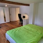 Rent 6 bedroom apartment of 250 m² in Schöneck