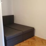 Rent 1 bedroom apartment of 49 m² in Pardubice