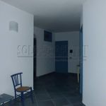 Rent 2 bedroom apartment of 70 m² in Giardini Naxos
