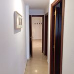 Alquilo 3 dormitorio apartamento de 81 m² en Badajoz