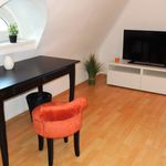 Rent 1 bedroom apartment of 41 m² in Mödling