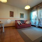Rent 3 bedroom apartment of 76 m² in Massa