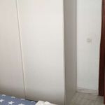 Rent a room of 270 m² in Málaga