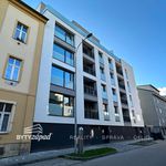 Rent 1 bedroom apartment of 36 m² in Brno