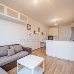 Rent 4 bedroom apartment of 79 m² in Kladno