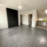 Rent 3 bedroom apartment of 53 m² in Reims