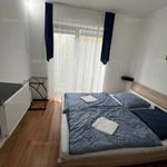 Rent 7 bedroom house of 163 m² in Vámosszabadi