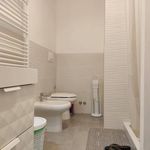 Rent 3 bedroom apartment of 100 m² in Ferrara