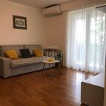 Rent 3 bedroom apartment of 80 m² in Rijeka