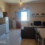 Rent 1 bedroom apartment of 60 m² in Livorno