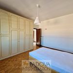 Affitto 5 camera appartamento di 120 m² in Padova