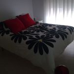 Rent 2 bedroom apartment of 60 m² in Murcia