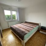 Rent 3 bedroom apartment of 72 m² in ST LOUIS