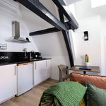 Rent 1 bedroom apartment of 33 m² in Breda