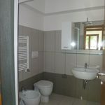 Affitto 2 camera appartamento di 71 m² in Frascati
