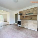 Rent 2 bedroom apartment of 48 m² in Ostrava