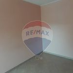 Rent 3 bedroom apartment of 65 m² in Foligno