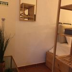 Rent 1 bedroom apartment of 25 m² in Assilho