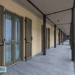 Rent 3 bedroom apartment of 55 m² in Torino
