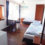 Rent 1 bedroom apartment of 33 m² in Plzeň