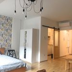 Rent 1 bedroom apartment of 50 m² in Budapest