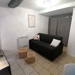 Rent 1 bedroom apartment of 27 m² in GAILLAC