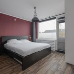Rent a room of 103 m² in Bleiswijk