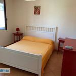 Rent 3 bedroom apartment of 60 m² in Pisticci
