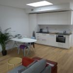 Rent 1 bedroom apartment of 50 m² in Haarlem