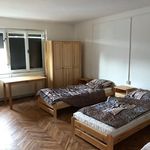 Rent 1 bedroom apartment of 200 m² in Číhošť