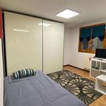 Rent 1 bedroom apartment of 30 m² in Ozzano dell'Emilia