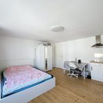 Huur 1 slaapkamer appartement van 20 m² in Gent