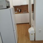 Rent 1 bedroom apartment of 20 m² in Ostrava