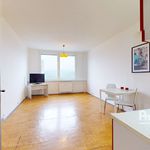 Rent 1 bedroom apartment of 26 m² in Ústí nad Labem