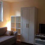Rent 1 bedroom apartment of 29 m² in Offenbach am Main