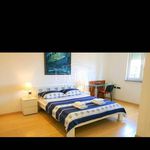 Rent 4 bedroom apartment of 150 m² in Ičići
