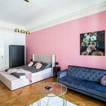 Rent 3 bedroom apartment of 160 m² in Plzeň