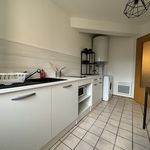 Rent 1 bedroom apartment of 37 m² in Village-Neuf