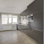 Rent 2 bedroom apartment of 77 m² in Capelle Aan Den Ijssel