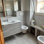 Rent 4 bedroom house of 160 m² in Cerveteri