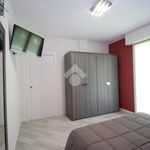 Rent 2 bedroom apartment of 55 m² in Monza