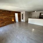 Rent 3 bedroom apartment of 85 m² in Rive-de-Gier