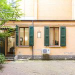 Rent 1 bedroom apartment of 45 m² in Pisa