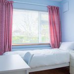 Rent a room of 120 m² in Ballyboden