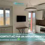 Rent 1 bedroom apartment of 32 m² in Segrate