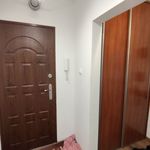 Rent 3 bedroom apartment of 53 m² in Konin