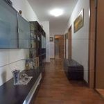 Rent 4 bedroom apartment of 145 m² in Bollate