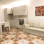 Rent 1 bedroom apartment of 65 m² in Borgomanero