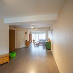 Rent 1 bedroom apartment in Wingene