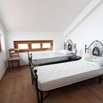 Rent 2 bedroom apartment of 65 m² in L'Aquila